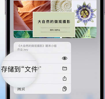 南皮apple维修中心分享iPhone文件应用中存储和找到下载文件