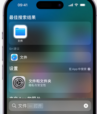 南皮apple维修中心分享iPhone文件应用中存储和找到下载文件