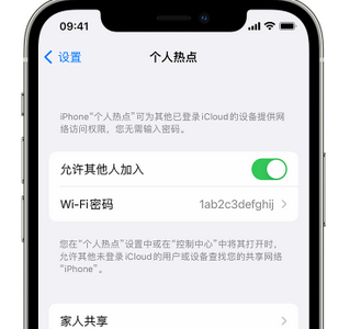 南皮apple服务站点分享iPhone上个人热点丢失了怎么办 