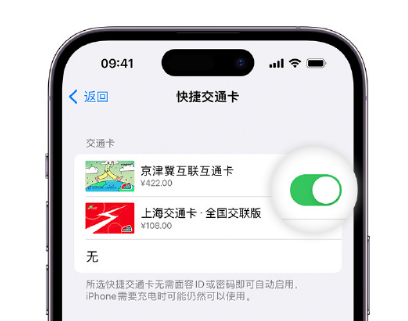 南皮apple维修点分享iPhone上更换Apple Pay快捷交通卡手绘卡面 