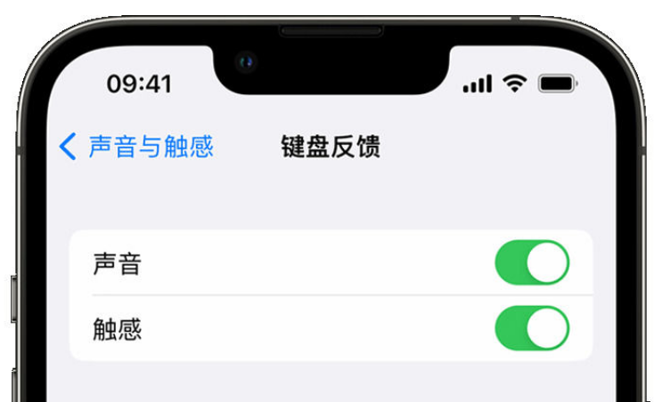 南皮苹果手机维修分享iPhone 14触感键盘使用方法 