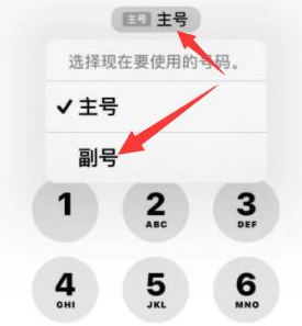 南皮苹果14维修店分享iPhone 14 Pro Max使用副卡打电话的方法 