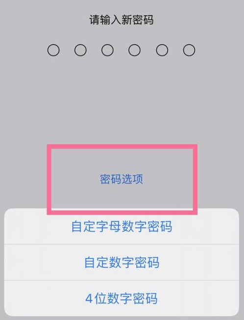 南皮苹果14维修分享iPhone 14plus设置密码的方法 