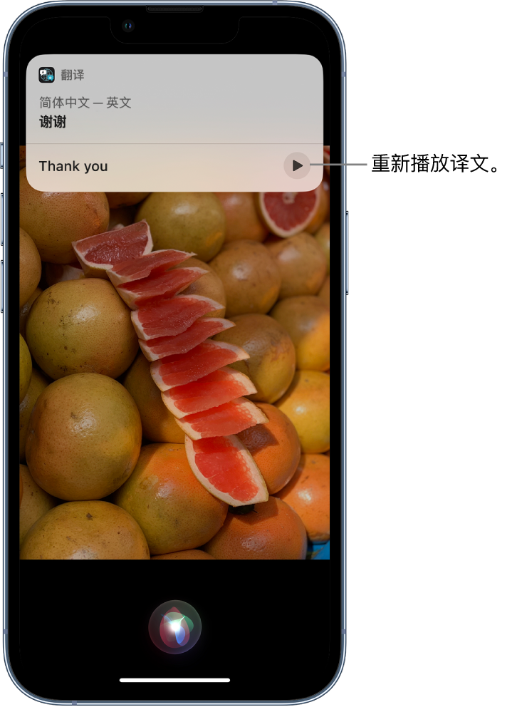 南皮苹果14维修分享 iPhone 14 机型中使用 Siri：了解 Siri 能帮你做什么 