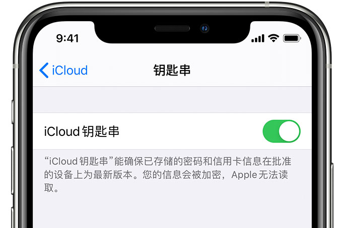 南皮苹果手机维修分享在 iPhone 上开启 iCloud 钥匙串之后会储存哪些信息 