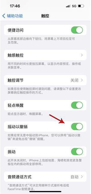 南皮苹果手机维修分享iPhone手机如何设置摇一摇删除文字 