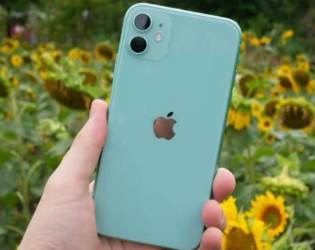 南皮苹果维修点分享iPhone 11锁屏密码认知与使用科普 